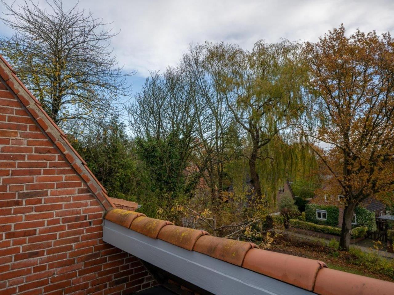 194 Fewo Dat Luetjehuus Mit Dachterrasse Im Ersten Stock Lütjenburg Dış mekan fotoğraf